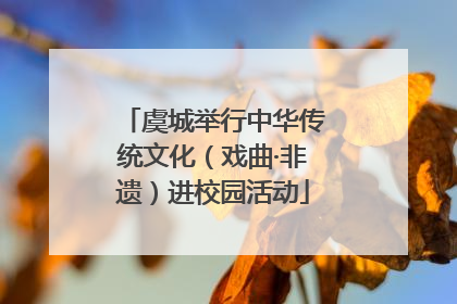 虞城举行中华传统文化（戏曲·非遗）进校园活动