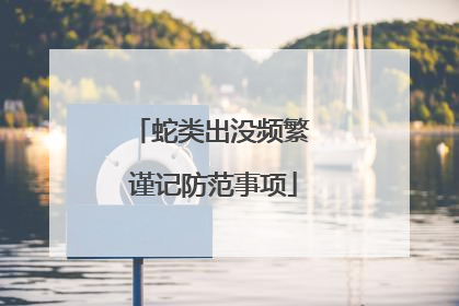蛇类出没频繁 谨记防范事项