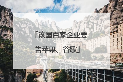 该国百家企业要告苹果、谷歌