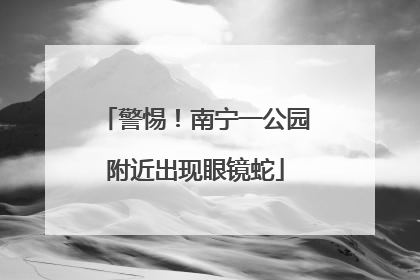 警惕！南宁一公园附近出现眼镜蛇