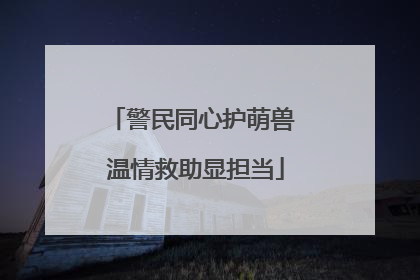警民同心护萌兽 温情救助显担当