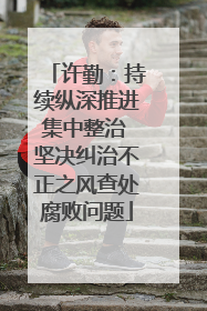 许勤：持续纵深推进集中整治 坚决纠治不正之风查处腐败问题