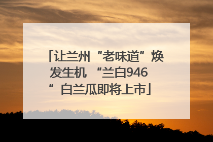 让兰州“老味道”焕发生机 “兰白946”白兰瓜即将上市