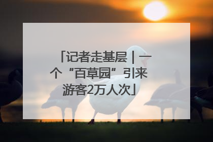 记者走基层｜一个“百草园”引来游客2万人次