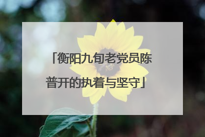衡阳九旬老党员陈普开的执着与坚守