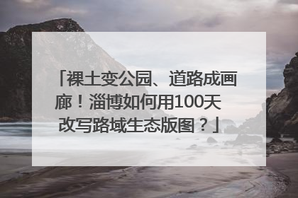 裸土变公园、道路成画廊！淄博如何用100天改写路域生态版图？