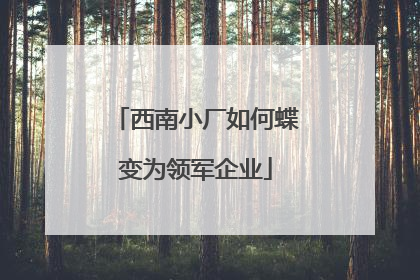西南小厂如何蝶变为领军企业