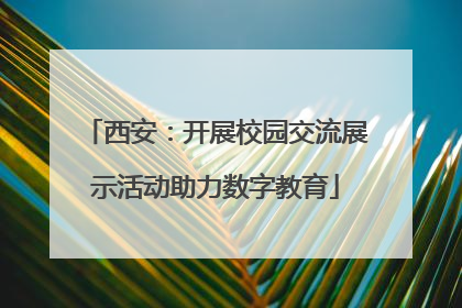 西安：开展校园交流展示活动助力数字教育