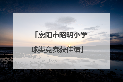 襄阳市昭明小学球类竞赛获佳绩
