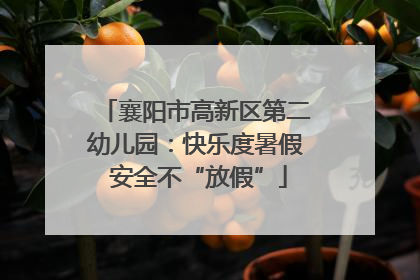 襄阳市高新区第二幼儿园：快乐度暑假 安全不“放假”