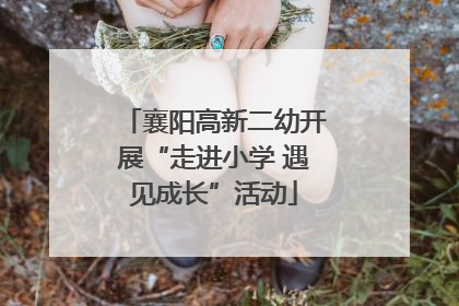 襄阳高新二幼开展“走进小学 遇见成长”活动