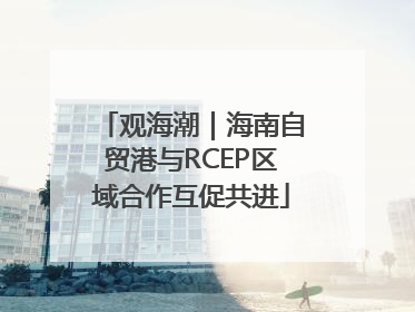 观海潮｜海南自贸港与RCEP区域合作互促共进