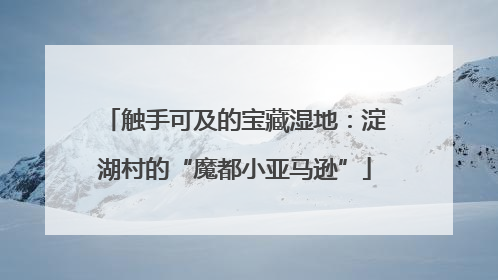 触手可及的宝藏湿地：淀湖村的“魔都小亚马逊”