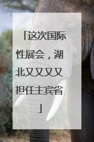这次国际性展会，湖北又又又又担任主宾省