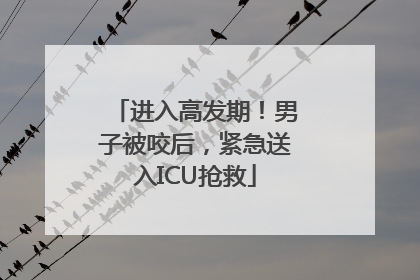 进入高发期！男子被咬后，紧急送入ICU抢救