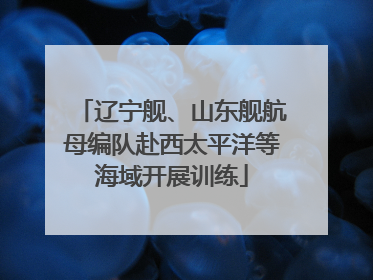 辽宁舰、山东舰航母编队赴西太平洋等海域开展训练