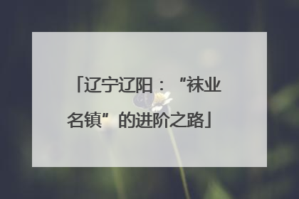 辽宁辽阳：“袜业名镇”的进阶之路