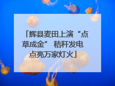辉县麦田上演“点草成金” 秸秆发电点亮万家灯火