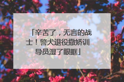 辛苦了，无言的战士！警犬退役撒娇训导员湿了眼眶