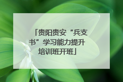 贵阳贵安“兵支书”学习能力提升培训班开班