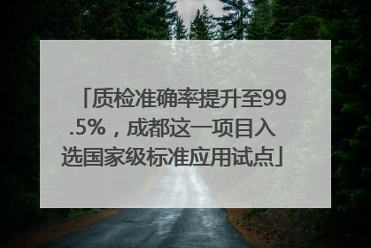 质检准确率提升至99.5%，成都这一项目入选国家级标准应用试点