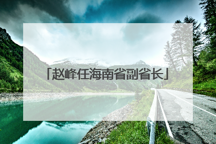 赵峰任海南省副省长