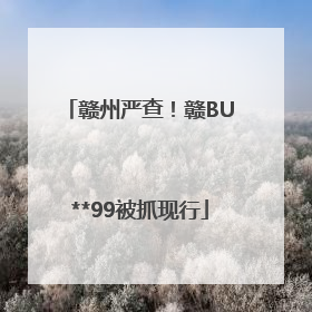 赣州严查！赣BU**99被抓现行
