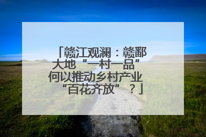 赣江观澜：赣鄱大地“一村一品”何以推动乡村产业“百花齐放”？