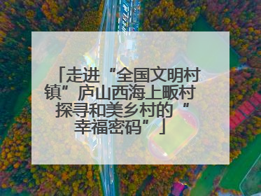 走进“全国文明村镇”庐山西海上畈村 探寻和美乡村的“幸福密码”