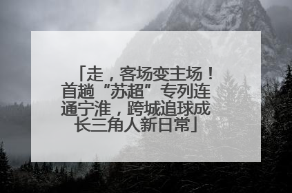 走，客场变主场！首趟“苏超”专列连通宁淮，跨城追球成长三角人新日常