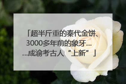 超半斤重的秦代金饼、3000多年前的象牙……成渝考古人“上新”