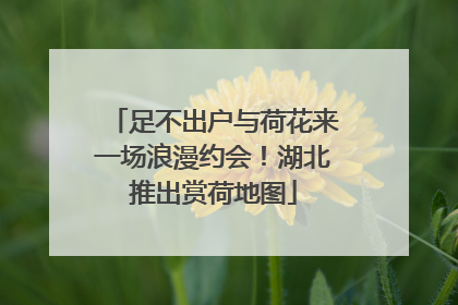 足不出户与荷花来一场浪漫约会！湖北推出赏荷地图