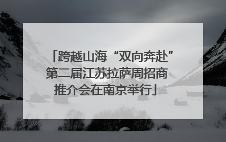 跨越山海“双向奔赴” 第二届江苏拉萨周招商推介会在南京举行