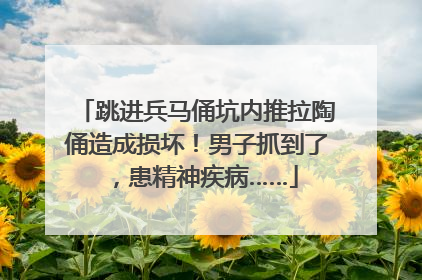 跳进兵马俑坑内推拉陶俑造成损坏！男子抓到了，患精神疾病……