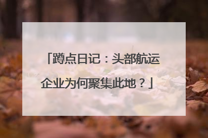 蹲点日记:头部航运企业为何聚集此地?