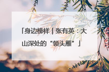 身边榜样｜张有英：大山深处的“领头雁”