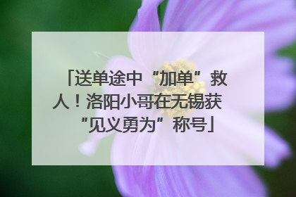 送单途中“加单”救人！洛阳小哥在无锡获“见义勇为”称号