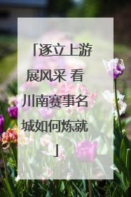 逐立上游展风采 看川南赛事名城如何炼就