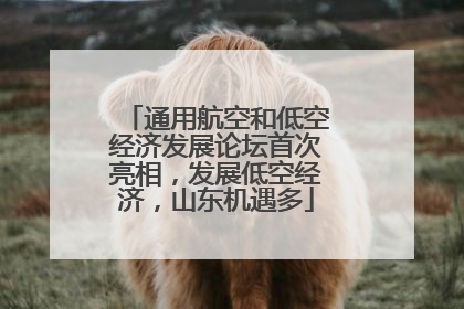 通用航空和低空经济发展论坛首次亮相，发展低空经济，山东机遇多