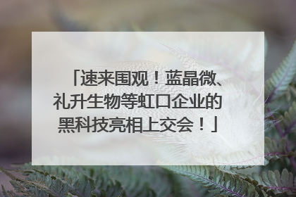速来围观！蓝晶微、礼升生物等虹口企业的黑科技亮相上交会！