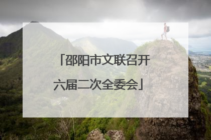 邵阳市文联召开六届二次全委会