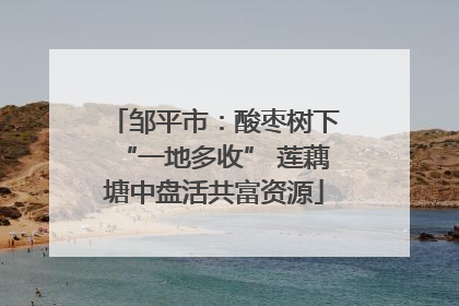 邹平市：酸枣树下“一地多收” 莲藕塘中盘活共富资源