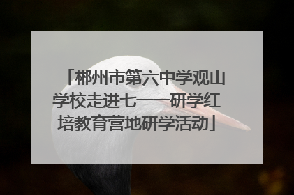 郴州市第六中学观山学校走进七一一研学红培教育营地研学活动