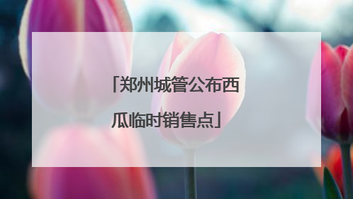 郑州城管公布西瓜临时销售点