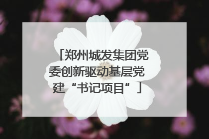 郑州城发集团党委创新驱动基层党建“书记项目”