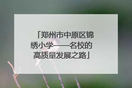 郑州市中原区锦绣小学——名校的高质量发展之路