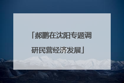 郝鹏在沈阳专题调研民营经济发展