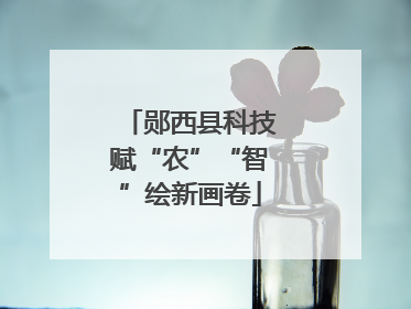 郧西县科技赋“农”“智”绘新画卷