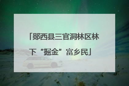 郧西县三官洞林区林下“掘金”富乡民