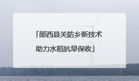 郧西县关防乡新技术助力水稻抗旱保收